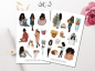 Preview: Cozy Girl Collection Sticker Set